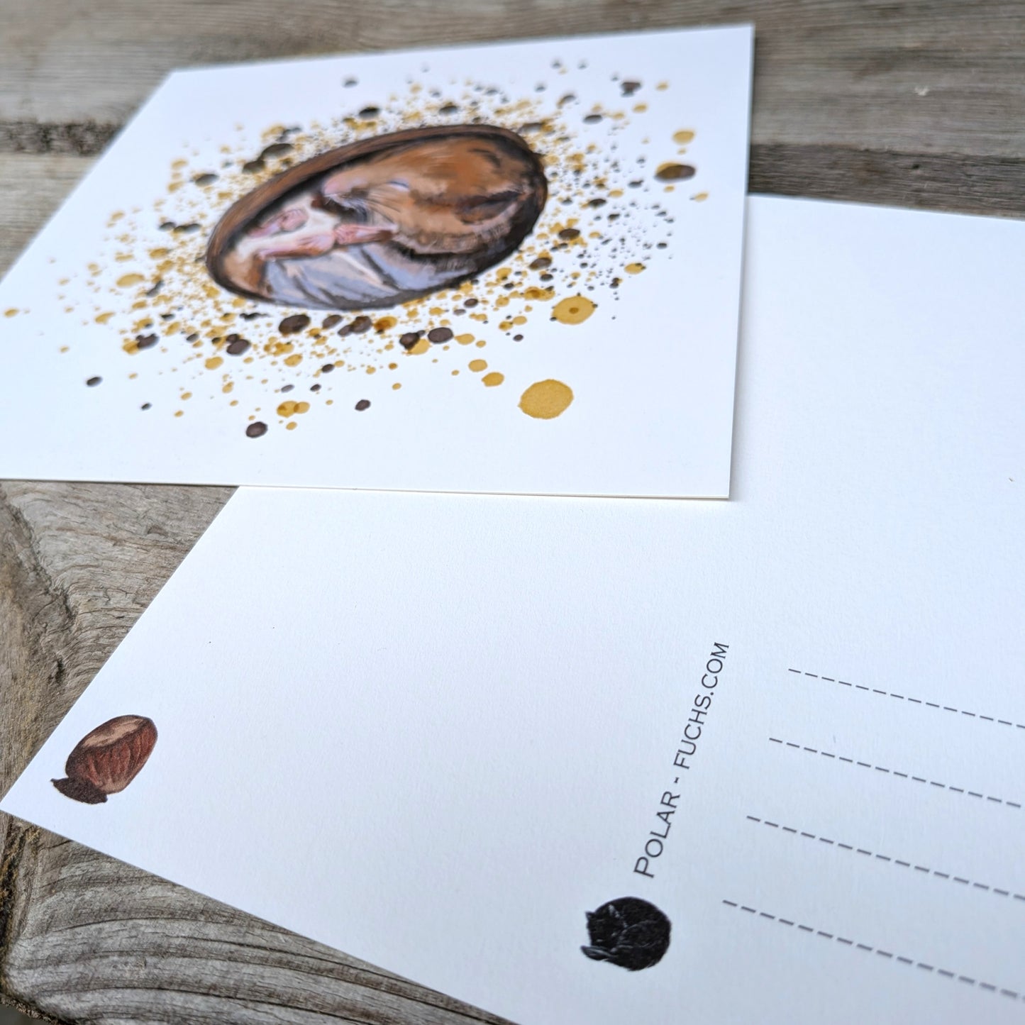 Postkarte Haselmaus