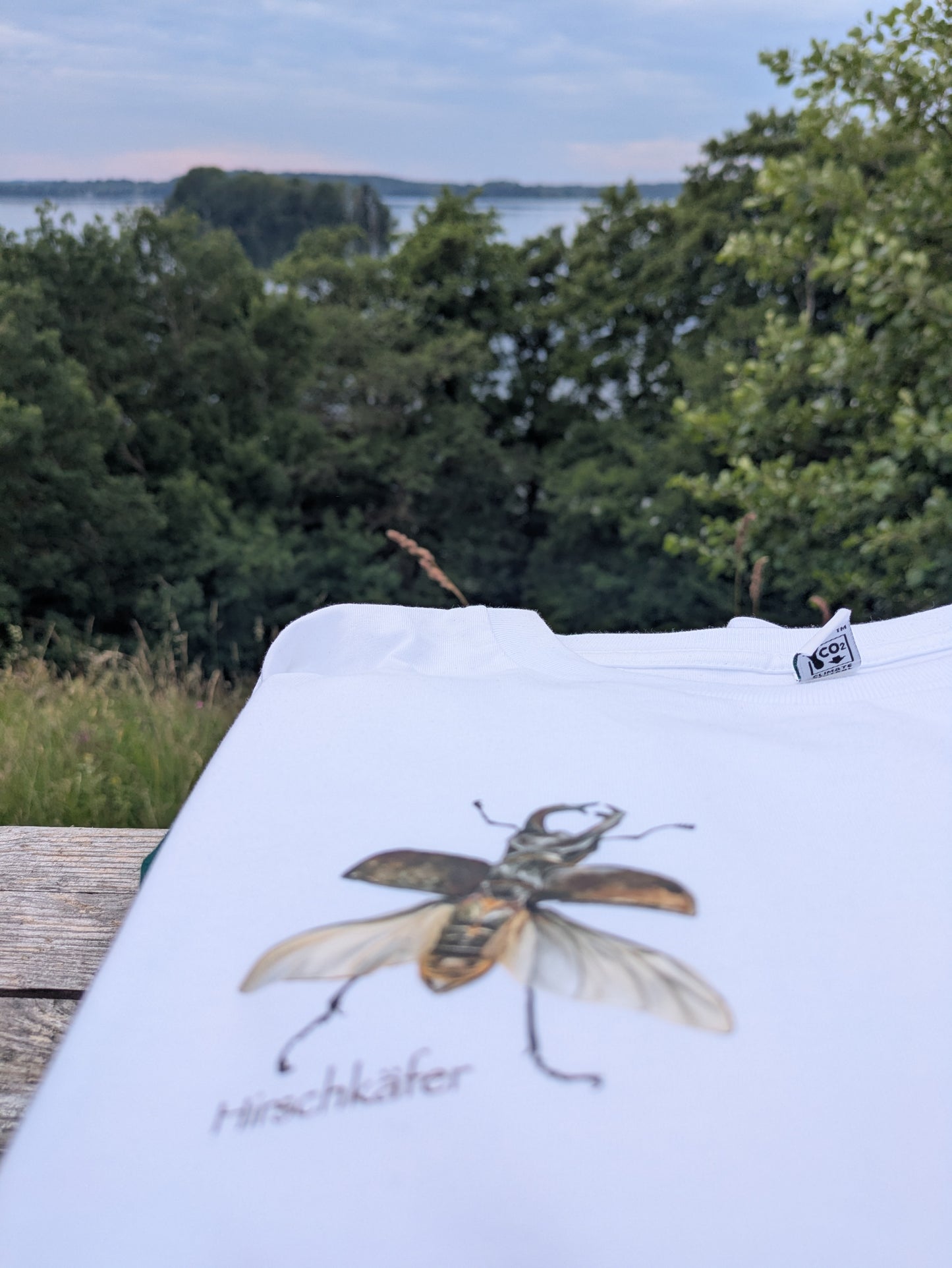 T-Shirt Herren/ Hirschkäfer