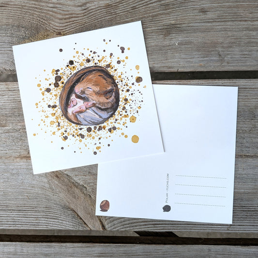 Postkarte Haselmaus