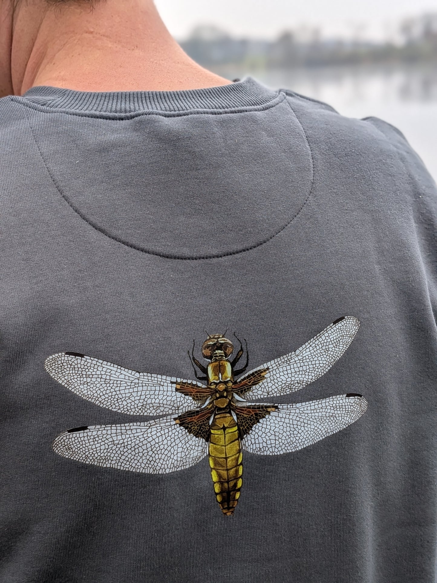 Pullover Libelle grau unisex Polarfuchs